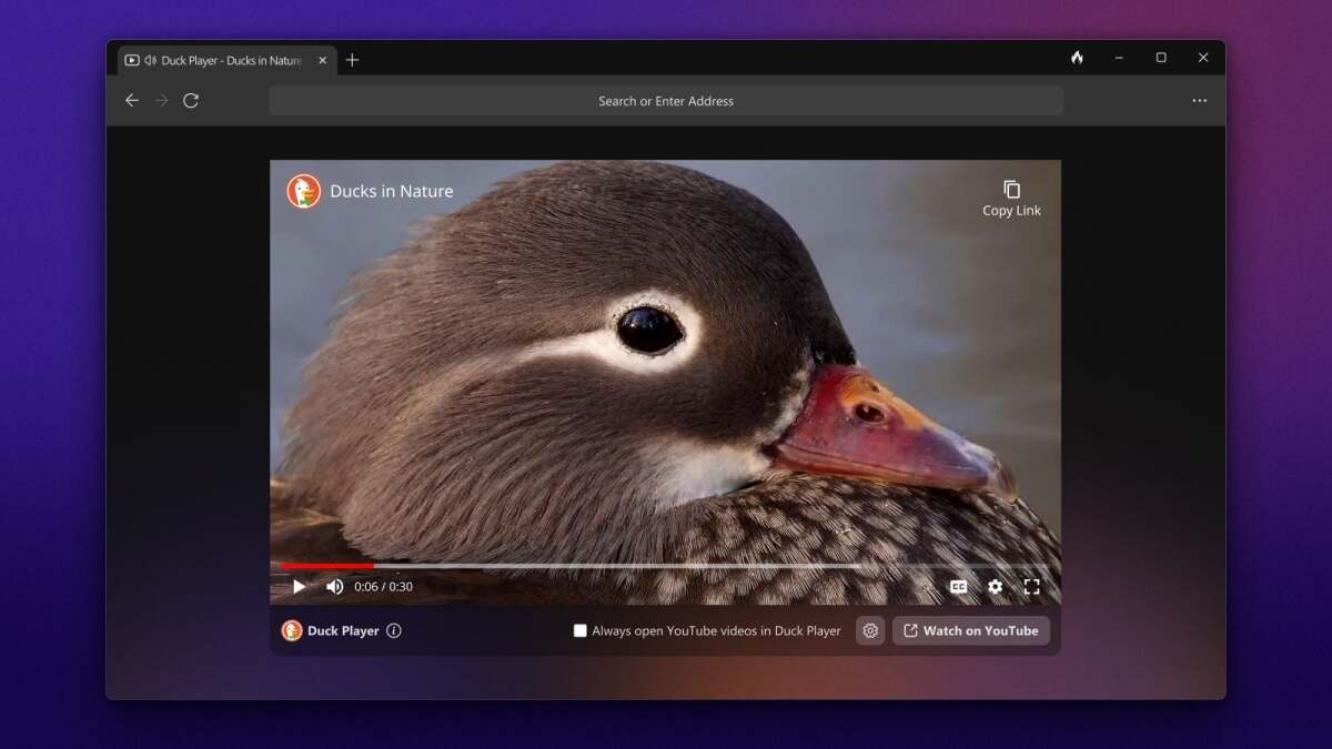 يجب عليك حقًا تجربة الإصدار التجريبي من Windows DuckDuckGo