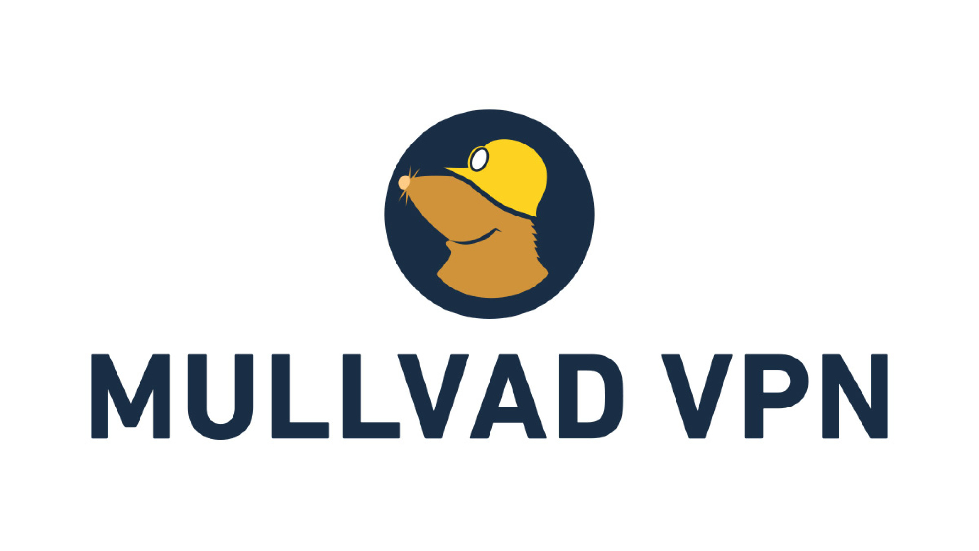 هذه هي أفضل شبكات VPN المدفوعة في عام 2024