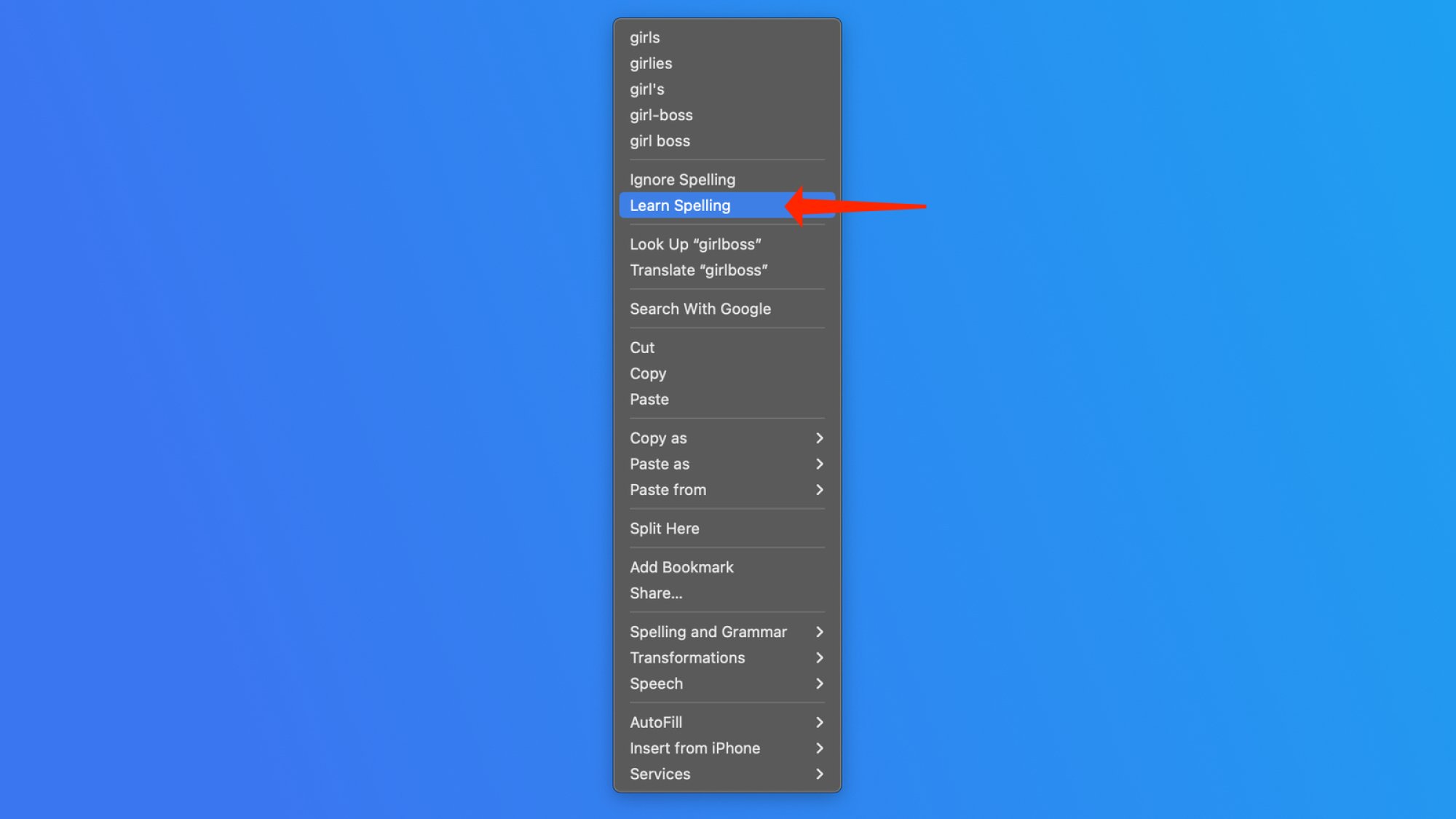 يمكنك بسهولة إضافة كلمات إلى قاموس جهاز Mac الخاص بك