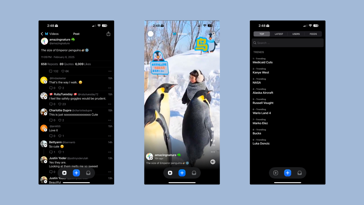 لدى Bluesky الآن نسخته الخاصة من Tiktok لدى Bluesky الآن نسخته الخاصة من Tiktok
